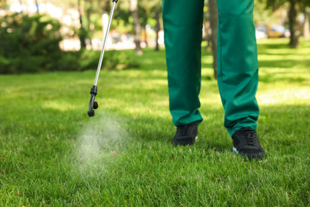 Best Emergency Pest Control  in Minot Af, ND