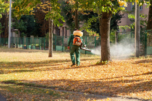 Trusted Minot Af, ND Pest Control Experts