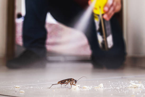 Best Affordable Pest Control Services  in Minot Af, ND