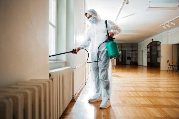 Best Termite Control Services  in Minot Af, ND