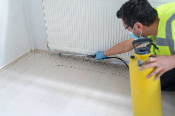 Best Exterminator Services  in Minot Af, ND