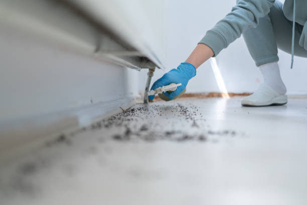  Minot Af, ND Pest Control Pros