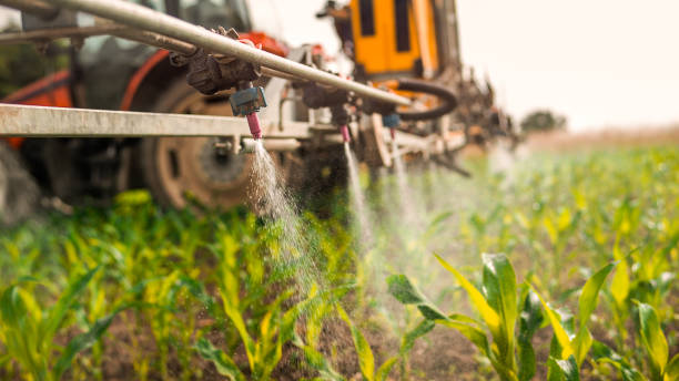 Best Commercial Pest Control Services  in Minot Af, ND