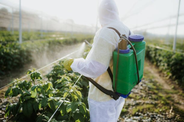 Best Pest Prevention Services  in Minot Af, ND